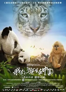 《我们诞生在中国》：自然奇观与生命赞歌，国语版震撼呈现