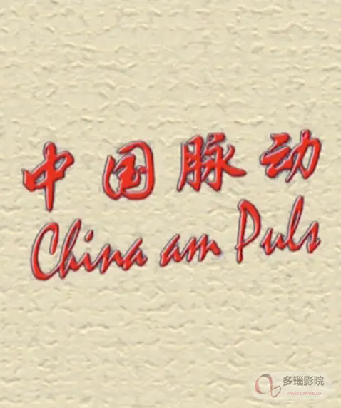 《中国脉动》：时代变迁下的真实中国故事，震撼人心！