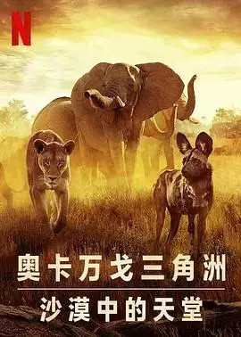 《幸存的天堂》:绝境求生,人性光辉闪耀