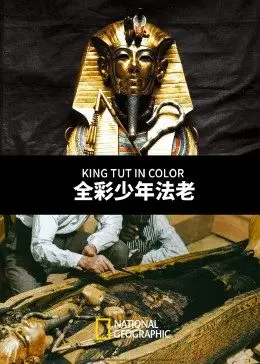 《全彩少年法老》：重现图坦卡蒙的璀璨与谜团