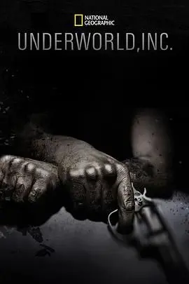 《黑市大企业》第一季：揭秘全球地下经济，利益与风险的残酷游戏！