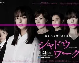 《影子工作》：一场高智商的猫鼠游戏，谁才是真正的操盘手？揭秘间谍世界的黑暗真相！