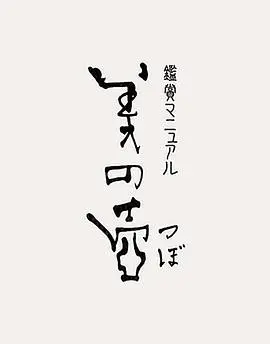 《美之壶》：探寻器物之美，一场穿越时空的艺术与生活对话，触及灵魂深处！