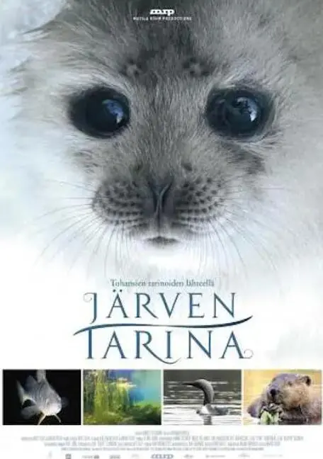 《湖泊的传说》：当失落的王国遇上古老的咒语，一场震撼心灵的史诗级冒险之旅